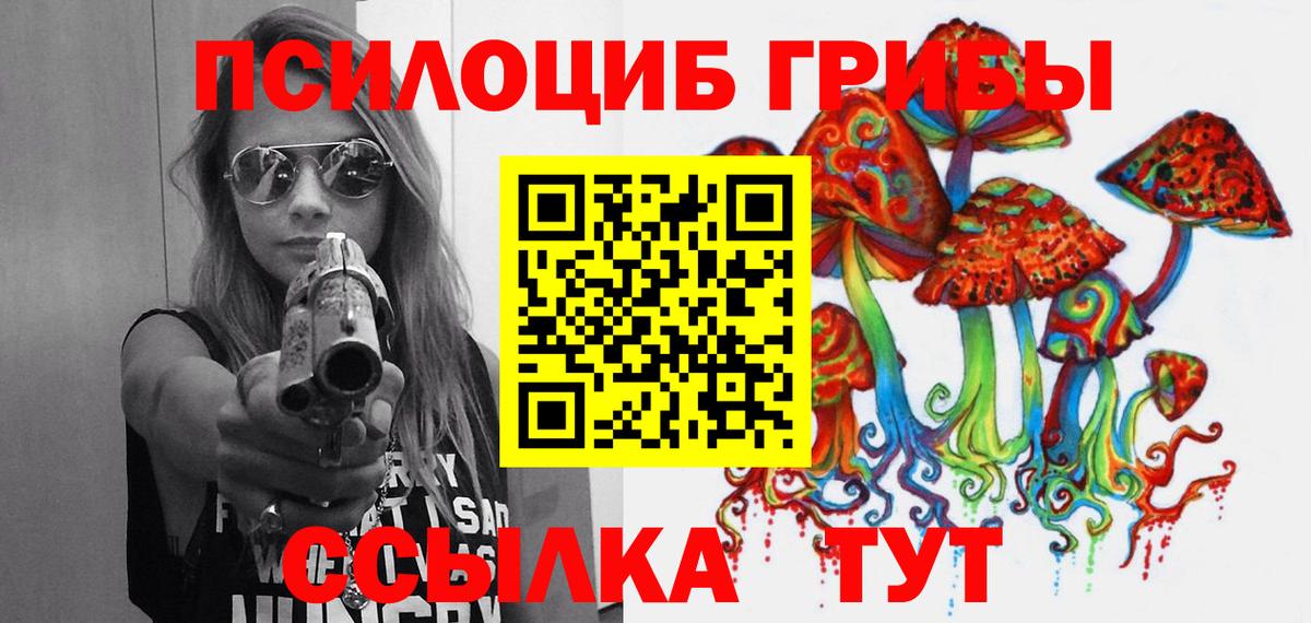 Богородск  дарнет шоп  Псилоцибиновые грибы Psilocybine cubensis  Вход с VPN  Галлюциногенные грибы Psilocybine cubensis 